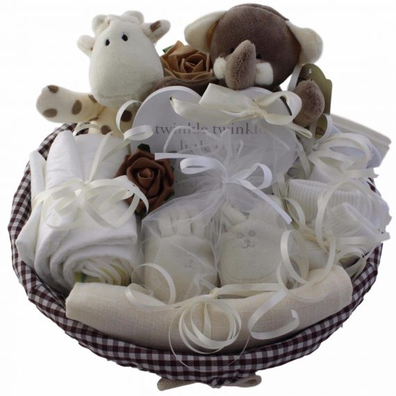 Baby-gift-baskethamper-10-items-unisex-baby-shower-new-baby-gift-maternity-gift-0