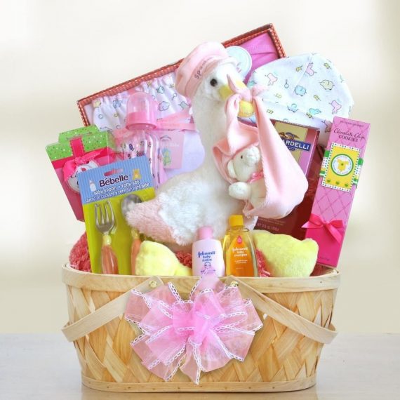 Gift-Set-Delivery-Baby-Shower-Girl-Basket-Plush-Welcome-Infant-Gifts-Nursery-NEW-0